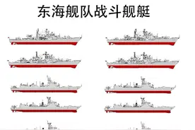 直面台海的东海舰队，为何成了海军三大舰队中垫底的？图片