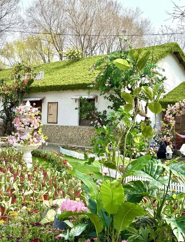 清明假日，临沂汤泉旅游度假区邀您赶头汤开启一站式春日康养体闲之旅