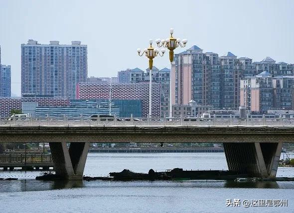 五百年古塔“镇守”，鄂州这条街藏着最浓生活味