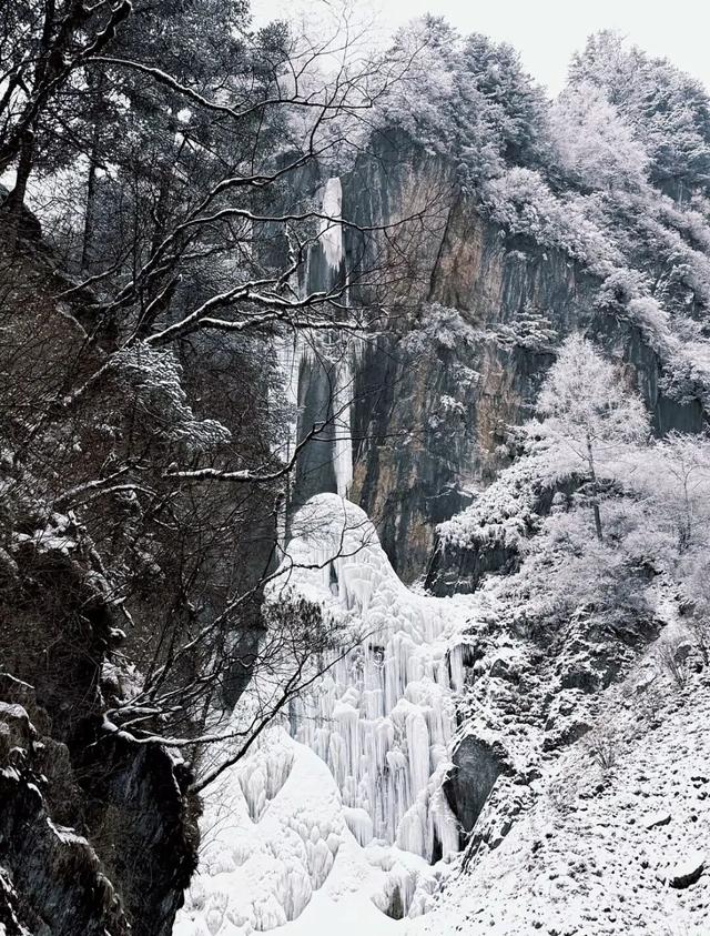 别等春天！陇南的冬日密语里，藏着限定版春日烂漫
