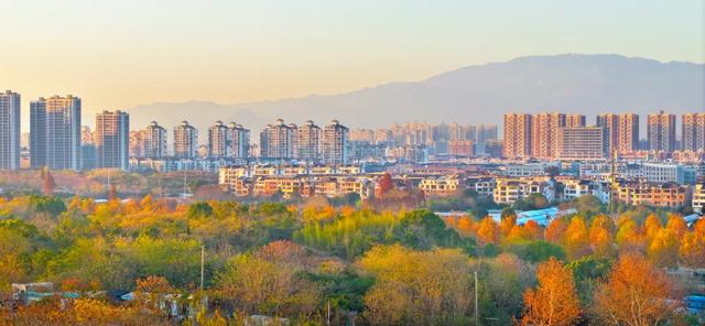 冬日金东：斑斓未尽 山水半酣