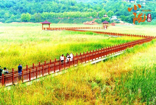 【小陇画报·437期】初冬，礼县美的像“油画世界”