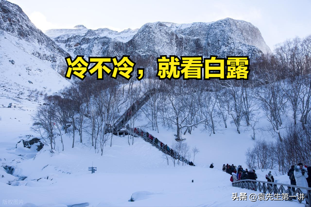 “冷不冷，就看白露”，今日白露，今年冬天会很冷吗？看农谚咋说