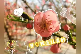 顶流来啦！🤩🤩🤩自然界/动物界/美食界……嘉峪关火遍“三界”！图片