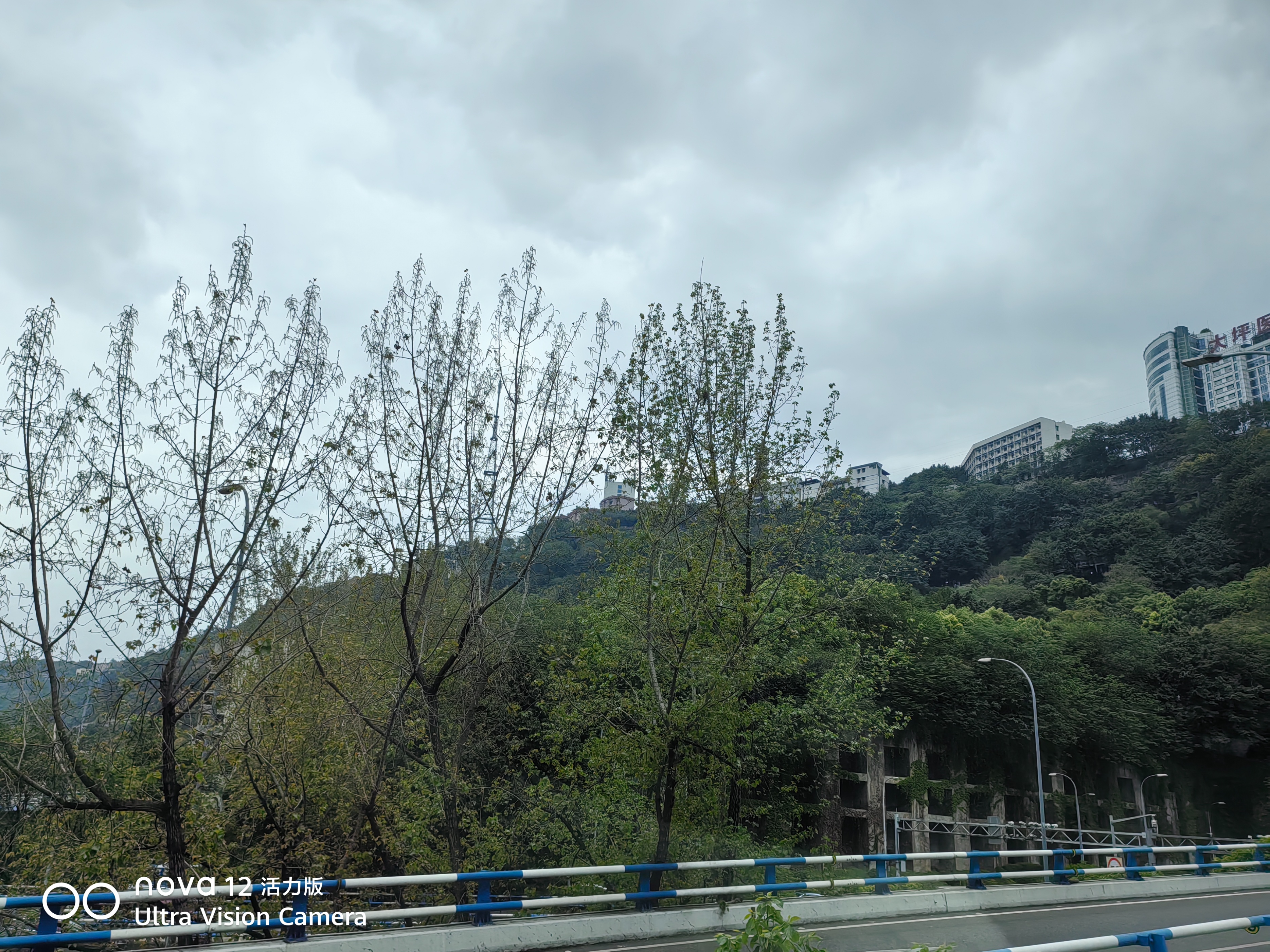 心情文化-芙蓉国里尽朝晖(13)(5) 心情文化-芙蓉国里尽朝晖(13)(5)