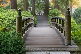 老禅宗说：特别准的识人术图片