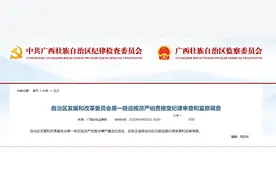 广西壮族自治区发展改革委原一级巡视员严伯贵被查图片