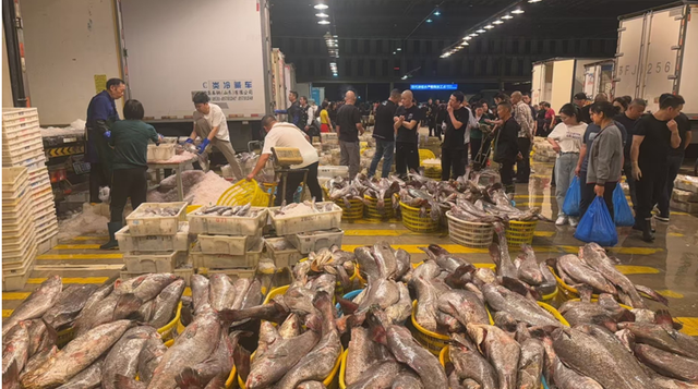 冷冻花胶多少钱一斤 2026年冷冻花胶多少钱一斤合适