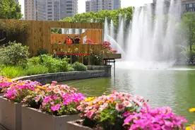 魔都“顶流”亮相市中心！100%出片的上海国际花展来了图片