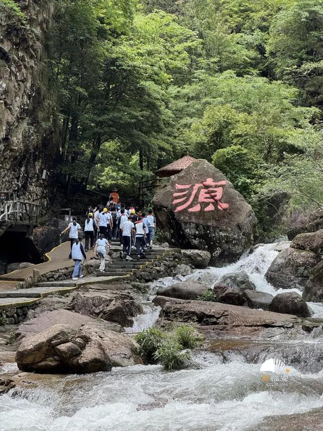 这届春假，临安申请出战！