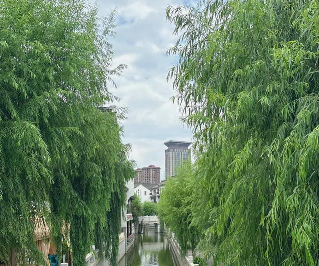 重庆-昆明-弥勒周末特种兵攻略：景点篇