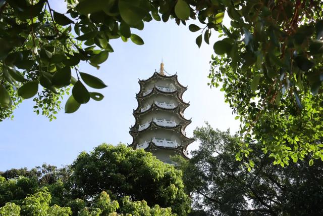 流溪河文化 | 艾米农业产业园:一溪润千亩,一稻美一城