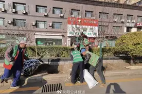 沈阳市城市管理综合行政执法局抢抓秋冬季行道树补植黄金期图片
