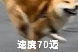 刚刚下班，上海已经开始堵车了？高速上一个举动酿大祸！“五一”拥堵高速路段→图片