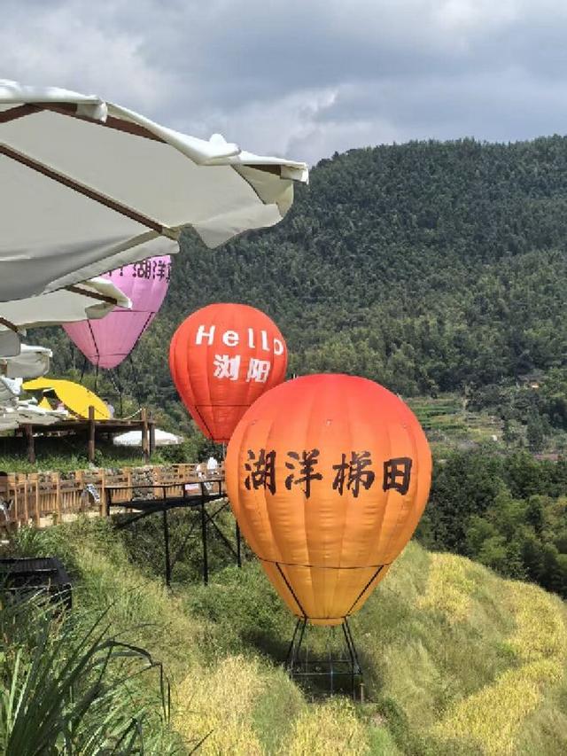 追梦老顽童戴树民：有一个地方叫“湖洋”