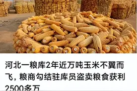 后续来了！万吨库粮凭空消失，央媒怒批！网友：这是个别现象吗图片