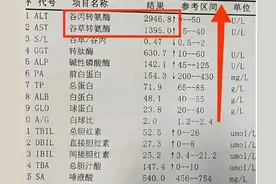 天门冬氨酸氨基转移酶和丙氨酸氨基转移酶偏高是什么原因？图片