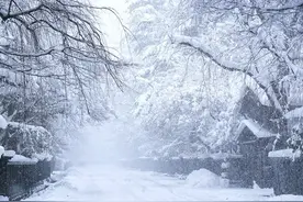 为什么有人讨厌自己的家乡，原因很简单图片