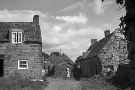 澳洲“天堂小镇”变“鬼城”？探秘石棉危害，可怕的“隐形杀手”图片