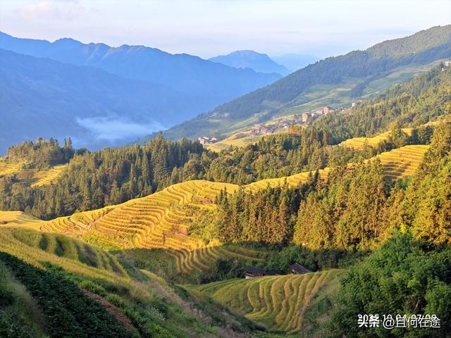 国庆期的龙脊梯田，即使是用老人机，也能拍出最动人的秋景与秋色
