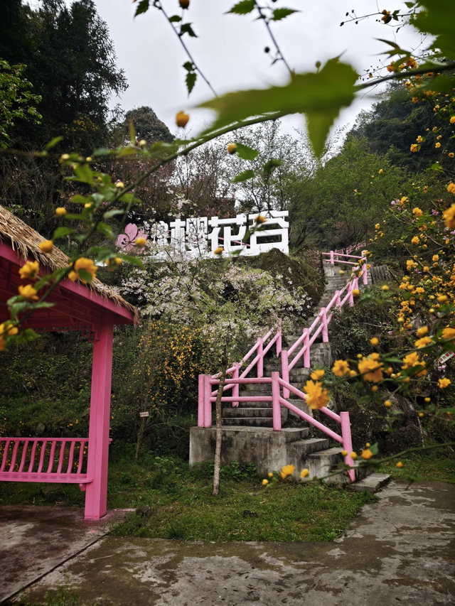 成都春假徒步好去处！超小众亲子游野趣路线，10元斋饭美味又健康