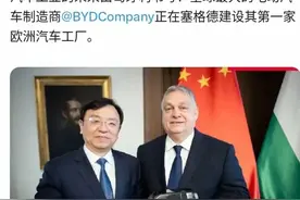 去风险化“幻想”，特斯拉向左，比亚迪向右，全球供应链残酷真相图片