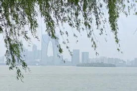 神奇！坚持晒背20天后，我发现我的荨麻疹缓解了。图片