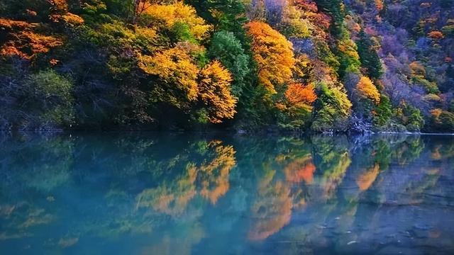 中国彩林第一县！黑水的美镜头不足以描绘！