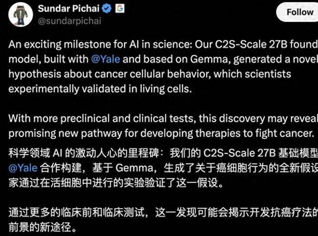 美国抗癌新突破，AI模型预测抗癌药，中国医疗领域该如何破局？