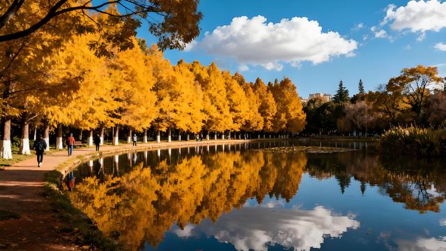 丹枫醉染云间岫，银杏金铺滇海秋 —— 昆明清秋觅胜长歌