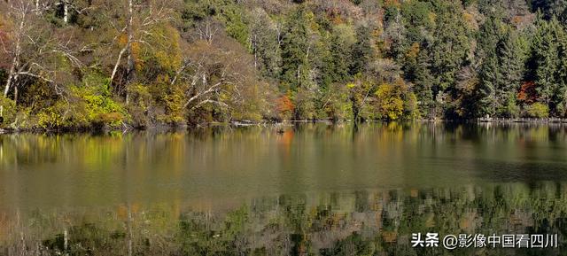 四川九寨沟：甲勿池金秋好风光