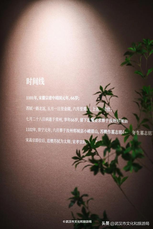 故宫带膘侍卫，现身武汉！