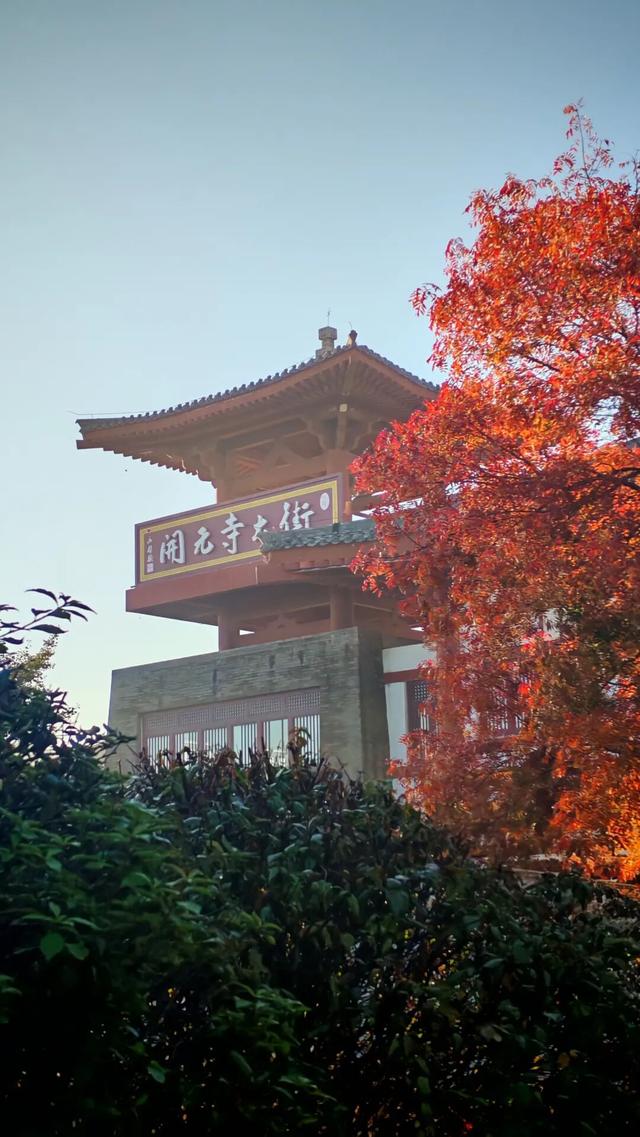 打卡定州限定秋景！