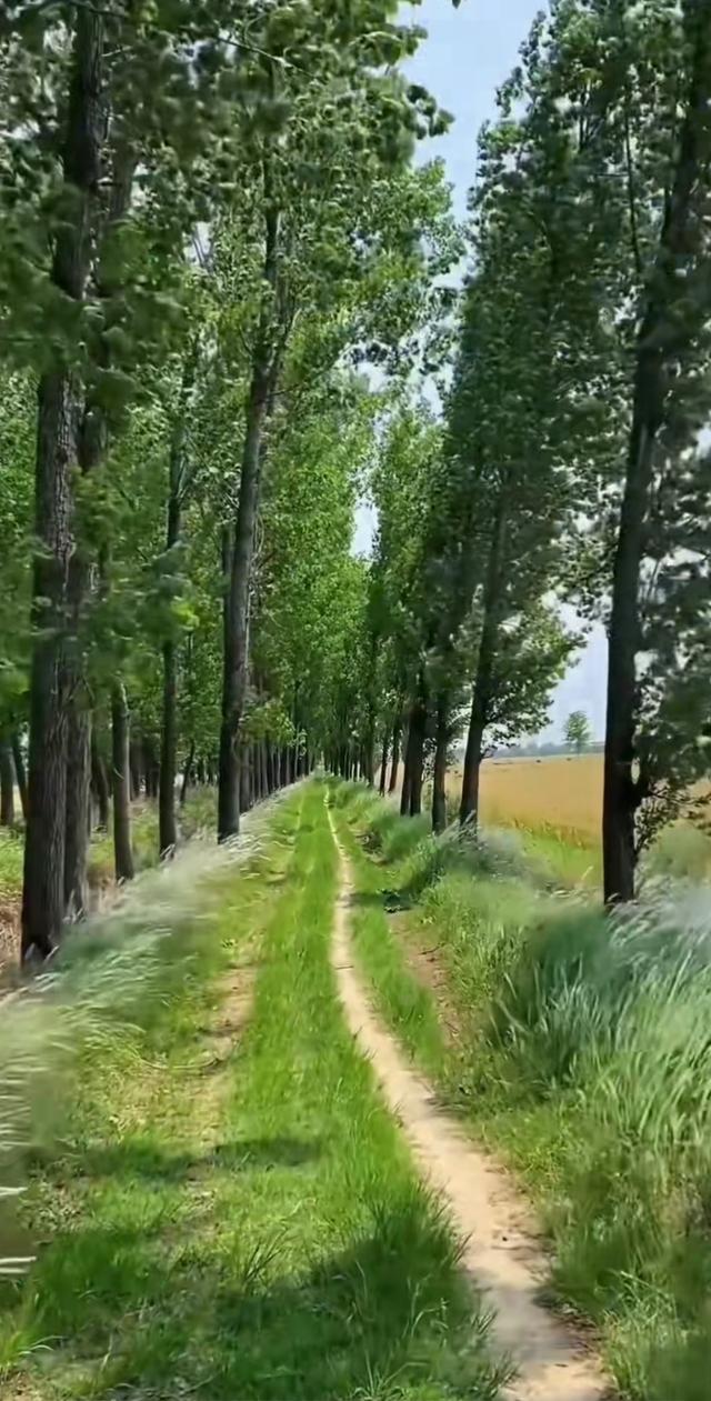 缁胯壊鎶ょ溂澹佺焊缇庡浘