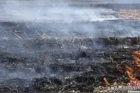 必须毫不动摇禁止焚烧秸秆，它是世界趋势，问题出在收割机上。图片