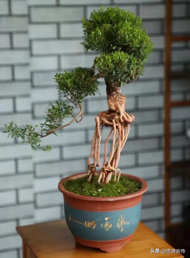 好看好吃好玩！贵港这个宝藏小镇！你去过吗？