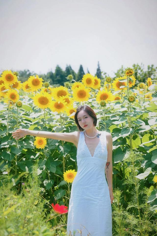 🌻观山湖超小众向日葵花海 私藏0元打卡地