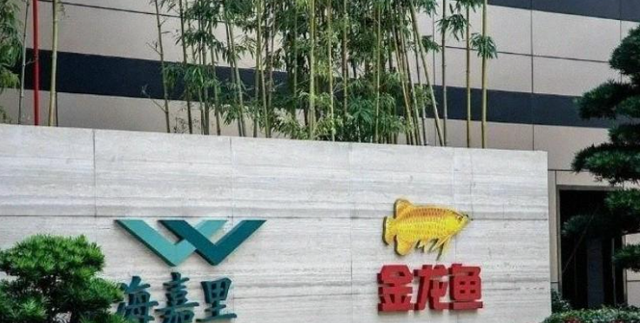 新加坡总理公开支持高市后，被罚18亿账单的金龙鱼，凉得更快了