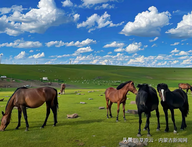 呼和浩特这6个宝藏地，开车直达，周末必冲！