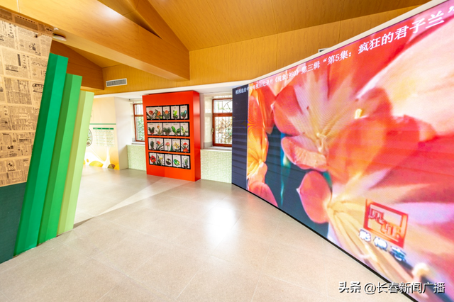 伪满皇宫博物院“君子兰的长春风骨”主题展览国庆节免费向公众开放