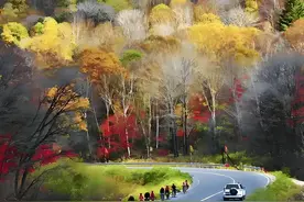 最美331国道东北段深度游全攻略 | 边境风光·油菜花海·自驾时速指南图片