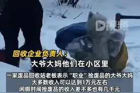 震惊！回收站老板曝光捡破烂大爷大妈的真实收入，网友们坐不住了图片