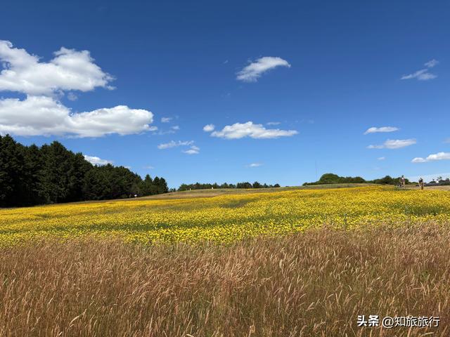 2025年环球知旅——科茨沃尔德地区