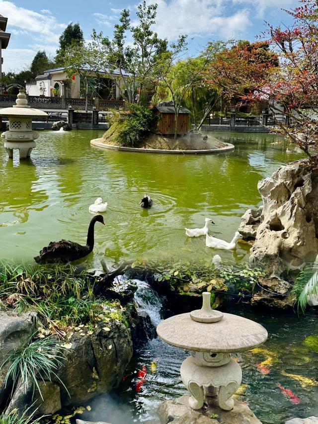 湛江下一个主城或将诞生？不是赤坎、霞山，堪称最具黑马相的城区