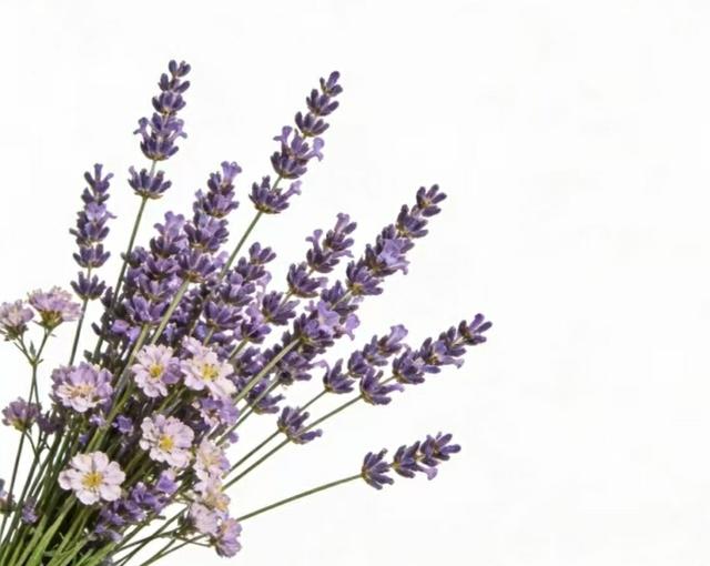 人间烟火	，岁岁年年