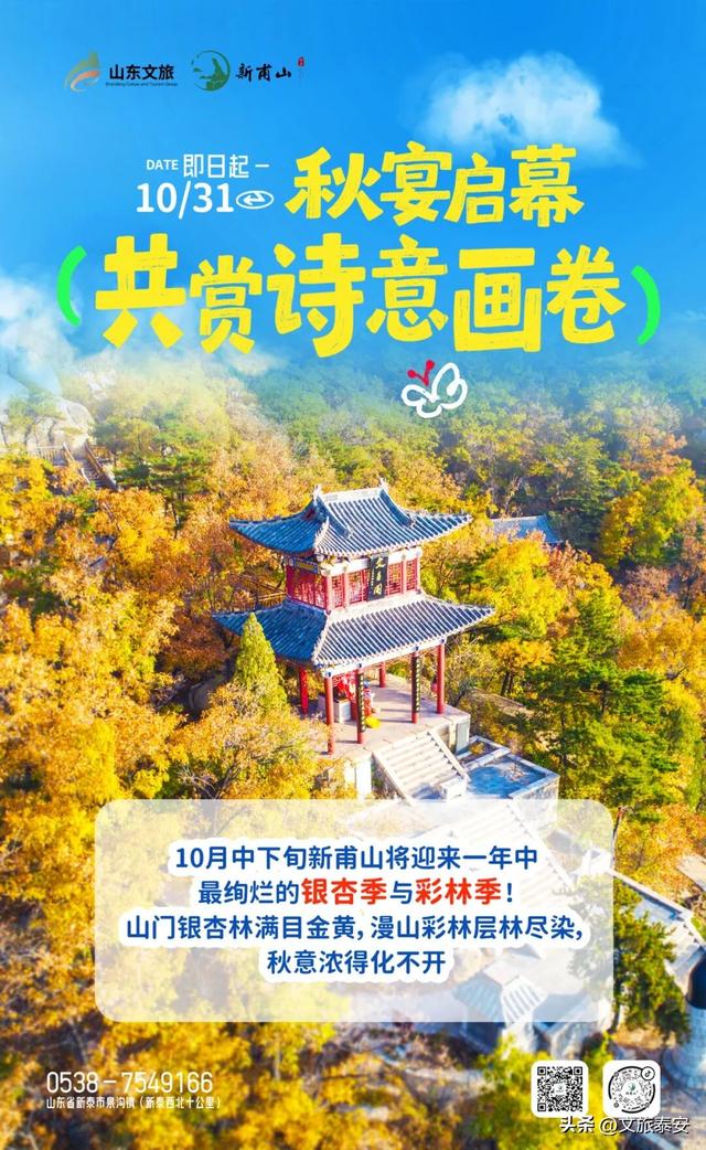 来赏银杏啦！还记得那年 “杏” 花微雨，你说要来新甫山~