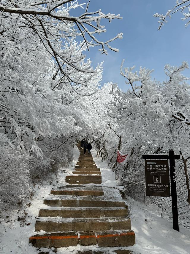 首遇云台山的雪凇美景