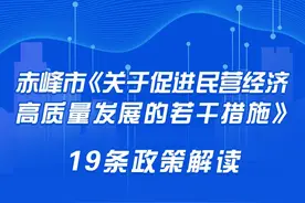 赤峰市《关于促进民营经济高质量发展的若干措施》19条政策解读之六图片