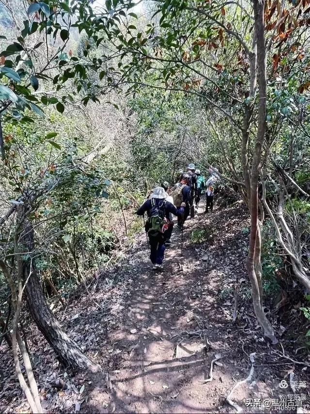 藏于浙江5A景区内有一处“十里铁甲龙”，洞穴众多形态奇特