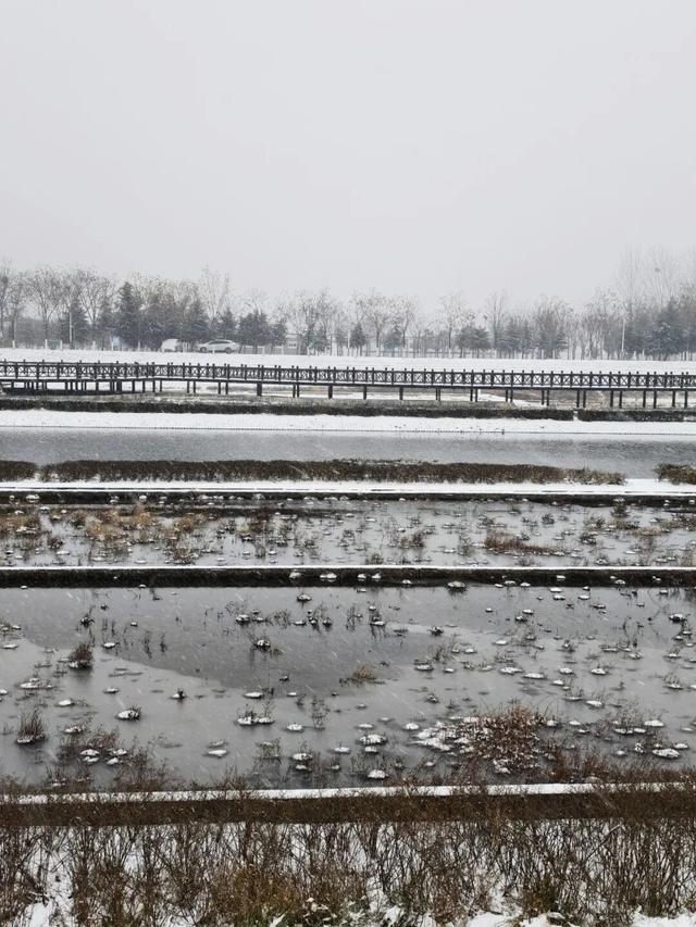 雪落莲城，许你一场纯净的冬日浪漫